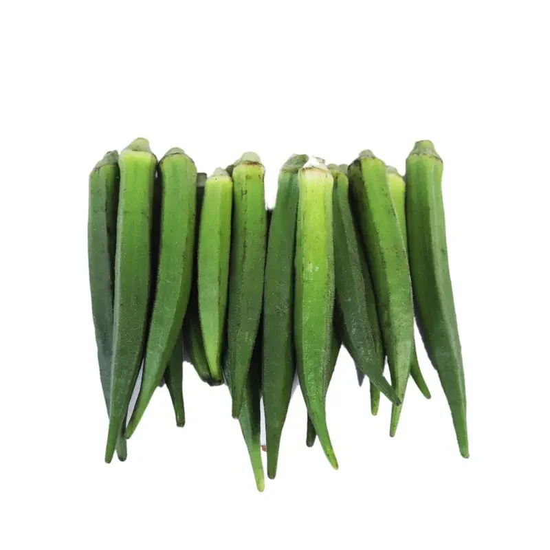 Natural Long-Lasting Silky Okra (Lady’s Finger) – Exporters & Suppliers from India