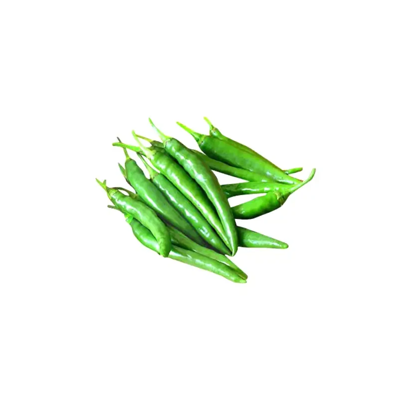 Natural Long-Lasting Quality Green G4 Chilli – Exporters & Suppliers from India