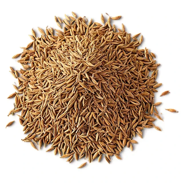 Premium Cumin (Jeera) Seeds Exporters & Suppliers from India