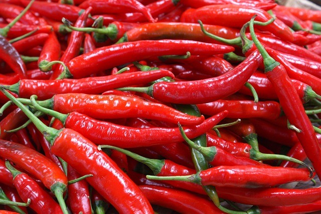 Teja S17 Red Chilli Exporters & Suppliers from India
